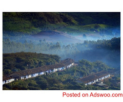 Munnar Travel Guide - Explore Kerala's Green Paradise