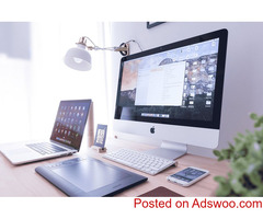 Comprehensive Startup Ecosystem Analysis | Panda Bear Consulting