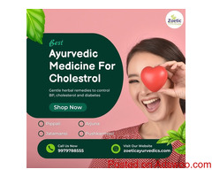 Best Ayurvedic Medicine for Cholesterol : You Should Try!