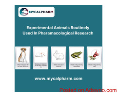 Experimental animals routinely used in Pharamacological research