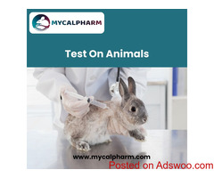 Test On Animals | Mycalpharm