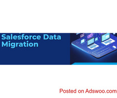 Best Salesforce Data Migration Company
