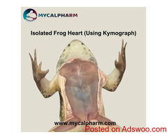 Isolated Frog Heart (Using Kymograph)