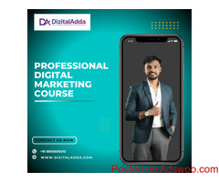 Professional Digital Marketing Course | Advanced Training & Certification