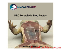 DRC for Ach on frog rectus