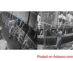 Dairy Camera Systems for Farm Security & Management | Cattle-Care