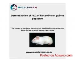 Determination of PD2 of histamine on guinea pig ileum