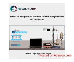 Effect of atropine on the DRC of the acetylcholine on rat ileum