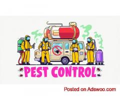 Reliable Termite Protection in Gold Coast by Termicide