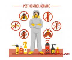 Reliable Termite Protection in Gold Coast by Termicide