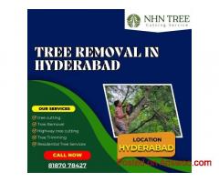 Tree Removal In Hyderabad