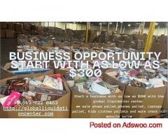 Business Opportunity with as Low as $300