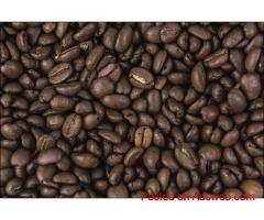 Do you also think that best coffee beans are nowhere near to find?