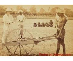 peasant movements in india