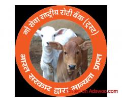 ?Why Gauseva Rashtriya Roti Bank is the Best Gaushala in Ghaziabad?