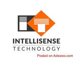 Professional Web Design Company