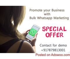 Bulk Whatsapp Advertising Services