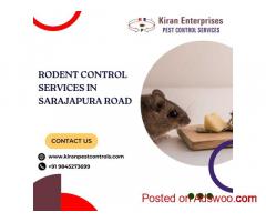 Rodent Control Services in Sarajapura Road | Rat Control Services