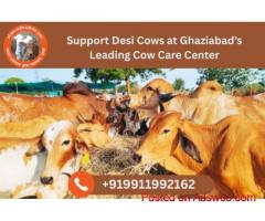 Support Desi Cows at Ghaziabad’s Leading Cow Care Center