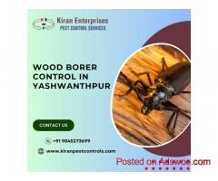 Wood Borer Control Services in Yashwanthpur | Protect Your Furniture