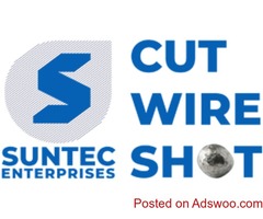 Stainless Steel Cut Wire Shot Manufacturer Company in India