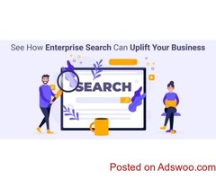 Hire Experts in Enterprise Elastic Search Implementation and Integration