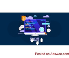 Best Web Development Service Provider in USA