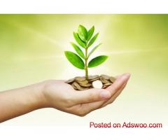 Phoenix Finance Service - Customized Corporate Loans for Business Growth and Expansion