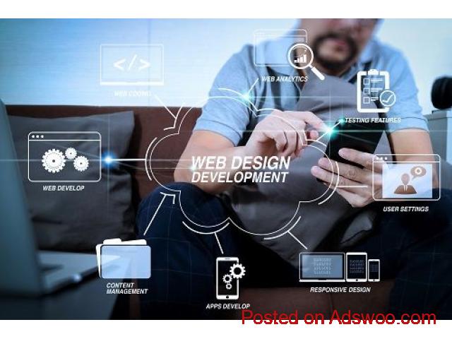 Website Designing Company in Delhi – Creative, Responsive & Affordable - 1/1