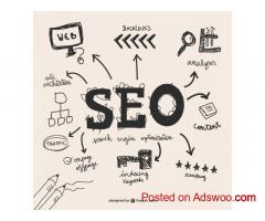 Professional SEO Services - Digital Marketing Expert