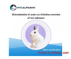 Determination of acute eye irritation corrosion of test substance