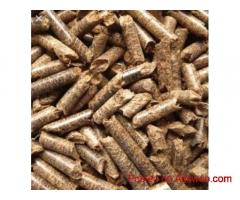 Wood Pellet Manufacturer in Poland