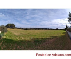 PLOT FOR A VINEYARD IN SENCELLES. SOIL PRODUCES QUALITY GRAPES 230K€