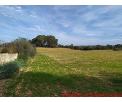PLOT FOR A VINEYARD IN SENCELLES. SOIL PRODUCES QUALITY GRAPES 230K€