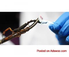 Reptil Venom Store: Explore Exotic Venom Strains from Around the World