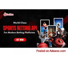 Unleash Peak Betting Performance: Real-Time Sports Data API