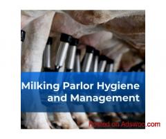 Mastering Milk Barn Management: Streamline Your Dairy Operations with Cattle Care.