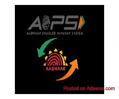 Custom AEPS Admin Panel Development Solutions