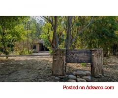 Experience Wilderness at Jim's Jungle Retreat Resorts in Jim Corbett