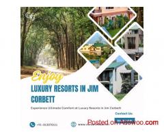 Stay at the Best Resorts in Jim Corbett for a Memorable Nature Escape