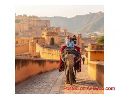Best Time To Enjoy Elephant Ride In Amer Fort Jaipur
