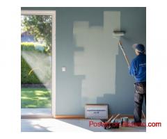 Top Interior Painters in Pukekohe