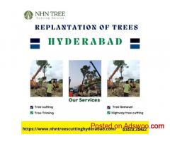 Replantation of Trees In Hyderabad