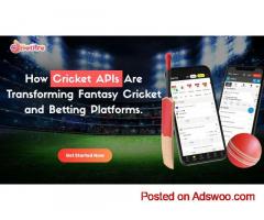 Reliable Cricket API Provider for Live Scores & Fantasy Apps