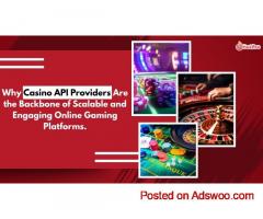 Casino API Providers Are the Backbone of Scalable and Engaging Online Gaming Platforms