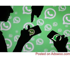 Whatsapp Bulk Message Price