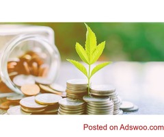 100% investor needs Business partnership