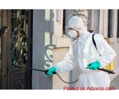 Top-Rated Pest Control Gold Coast - Safeguard Your Home from Pests.