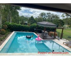 Custom Pool Designer: Creating Your Dream Inground Pool Experience