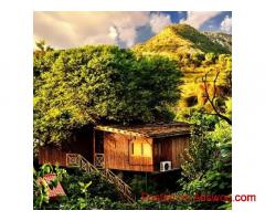 Top Luxury Resorts Near Jaipur For Royal Escapes